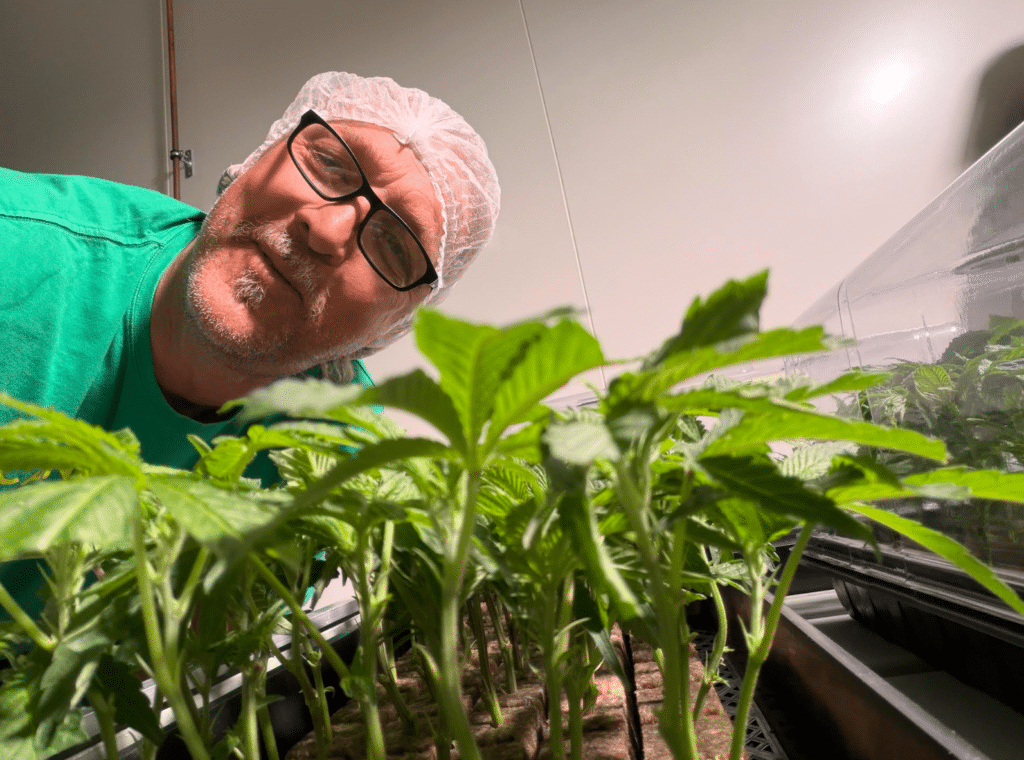 Cannaponics Cleared to Begin Cannabis Cultivation at Collie Facility After Years of Development