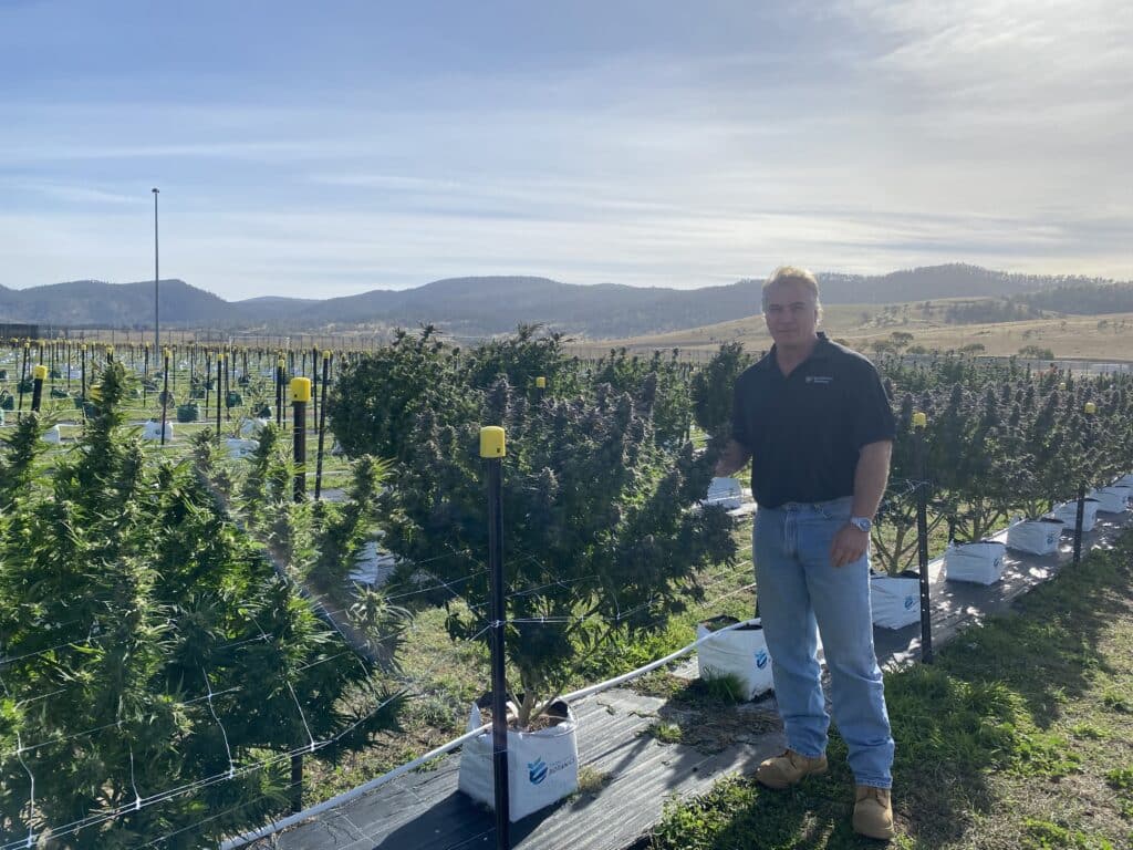 Tasmanian Botanics CEO eyes opportunities under Chinese ownership while warning on import-driven price pressure